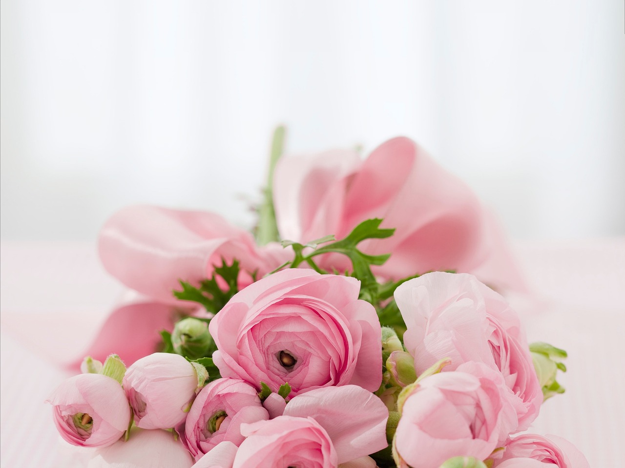 Blomst Krydsord