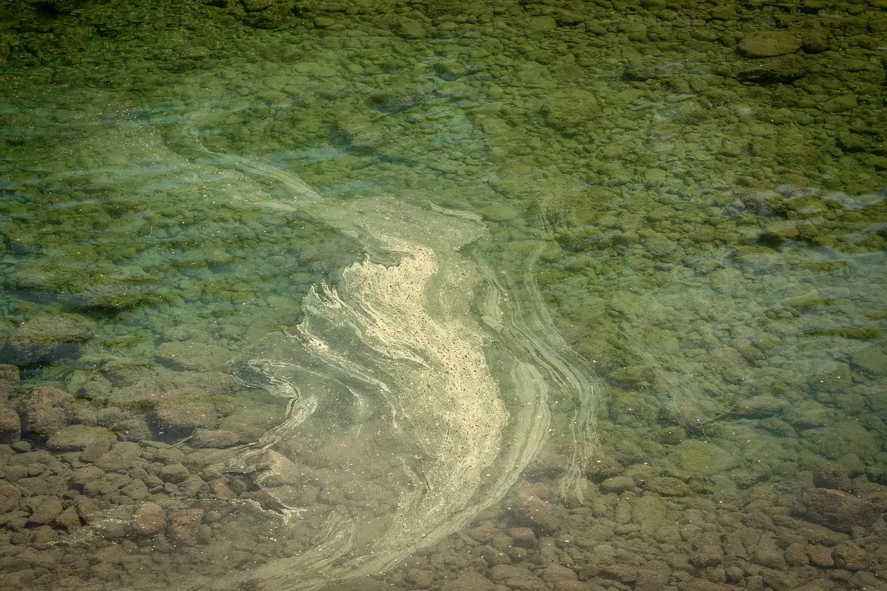 Allergivenlige fastelavnsboller, som børnene kan bage