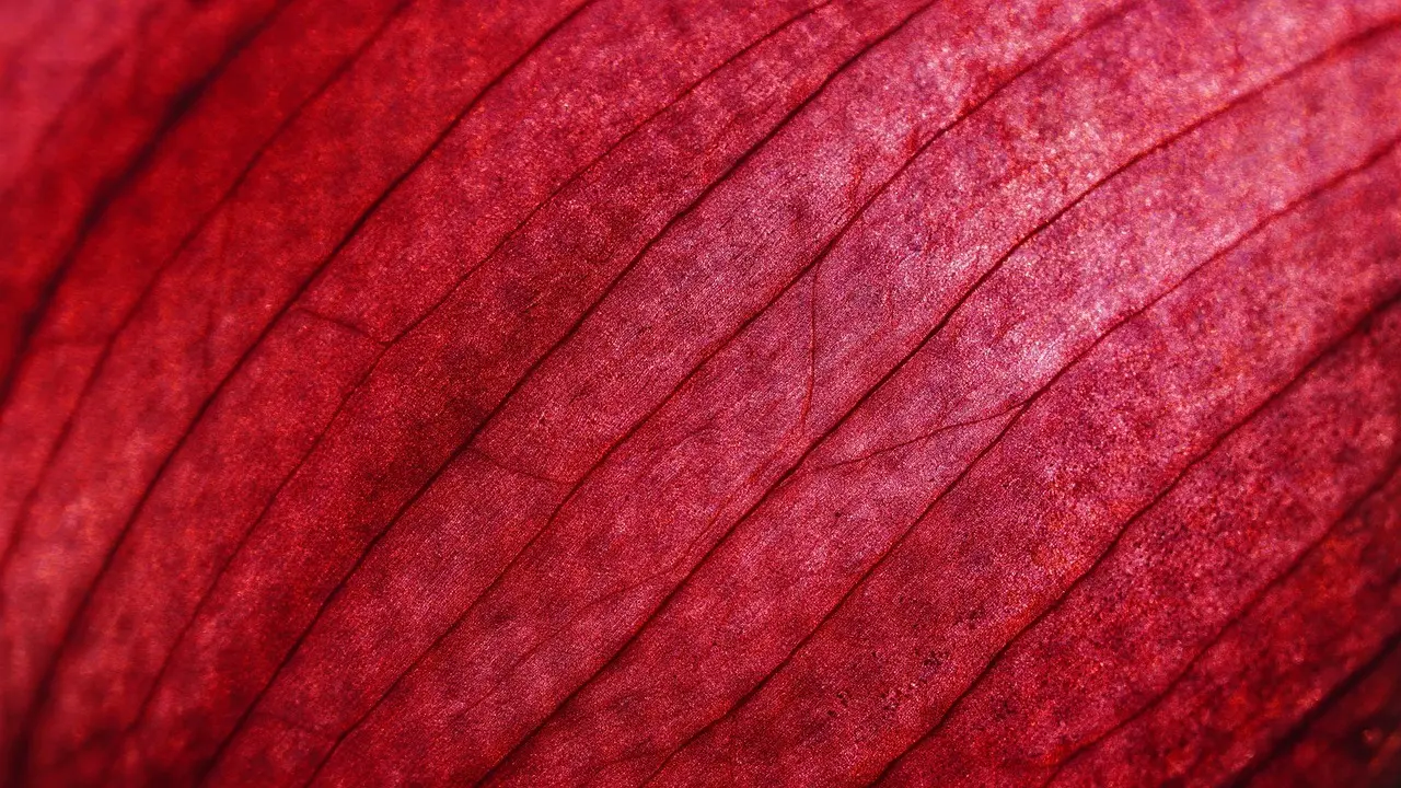 Sådan farver I æg til påske uden kemi